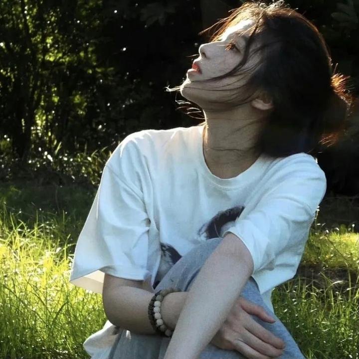 玫瑰的战争